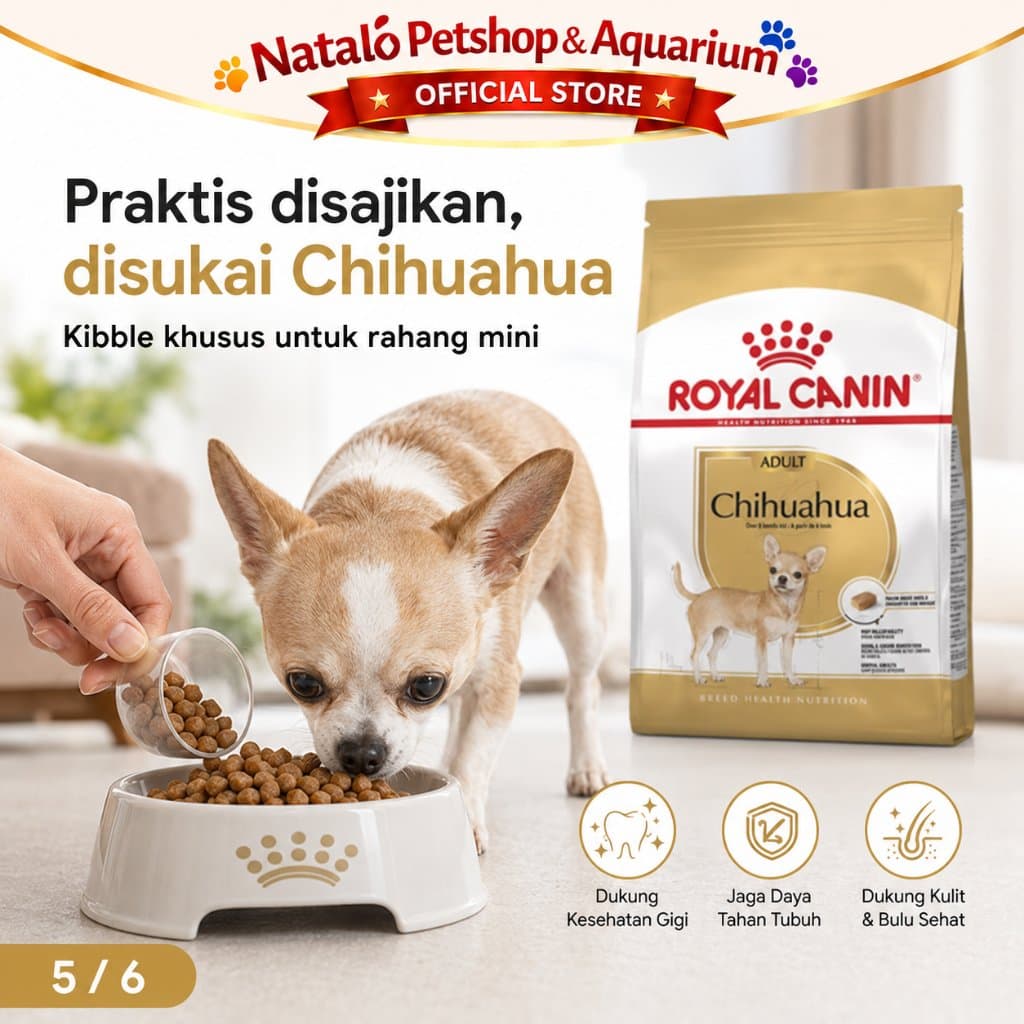 Royal Canin Chihuahua Adult 3KG / Chi hua hua Dog Food / Makanan Anjing Ras Kecil Premium - gambar 5