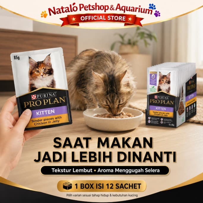 Pro Plan Pouch per BOX isi 12 pcs Saset x 85gr Wet Cat Food Sachet Makanan Basah - gambar 5