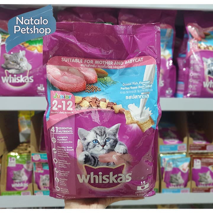 Whiskas Junior Ocean Fish 1.1KG / Dry Kitten Mother Baby Cat Food / Makanan Kering Kucing - gambar 1