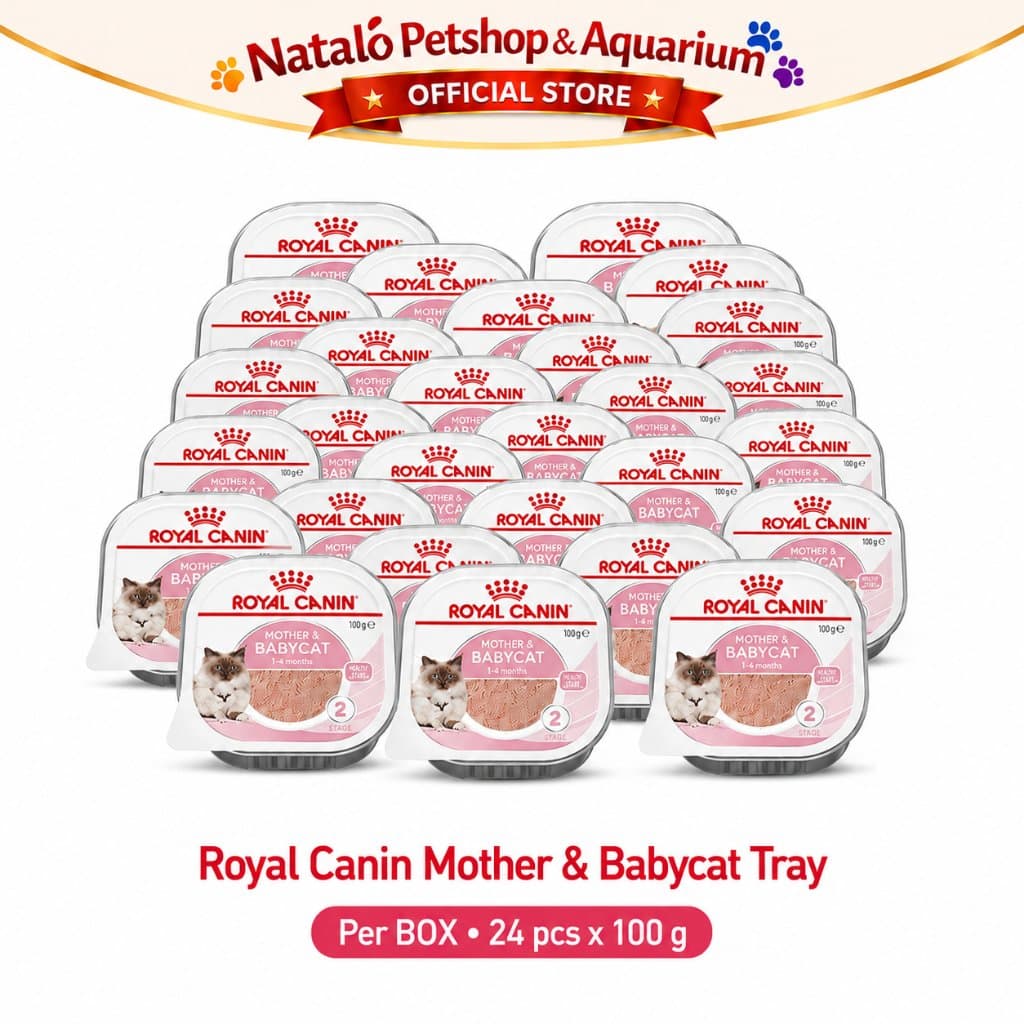 Royal Canin Mother & Babycat Mousse Wet Food 1 BOX isi (24pcs X 100gr) Baby Cat - Makanan Basah Ibu dan Anak Kucing - gambar 6