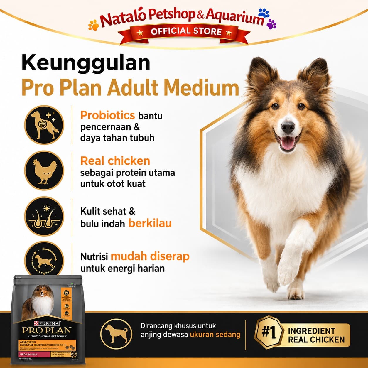 Pro Plan Dog Adult Dog Food Medium Chicken 3KG - Makanan Anjing Dewasa Sedang PROPLAN - gambar 2