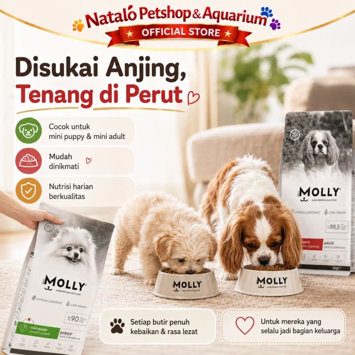Molly Dog Food 2KG Super Premium Mini Adult / Puppy Lamb Dry Kibble Makanan Anjing Kering untuk Anak dan Dewasa ras Kecil Small Breed rasa Domba 2 KG - gambar 5