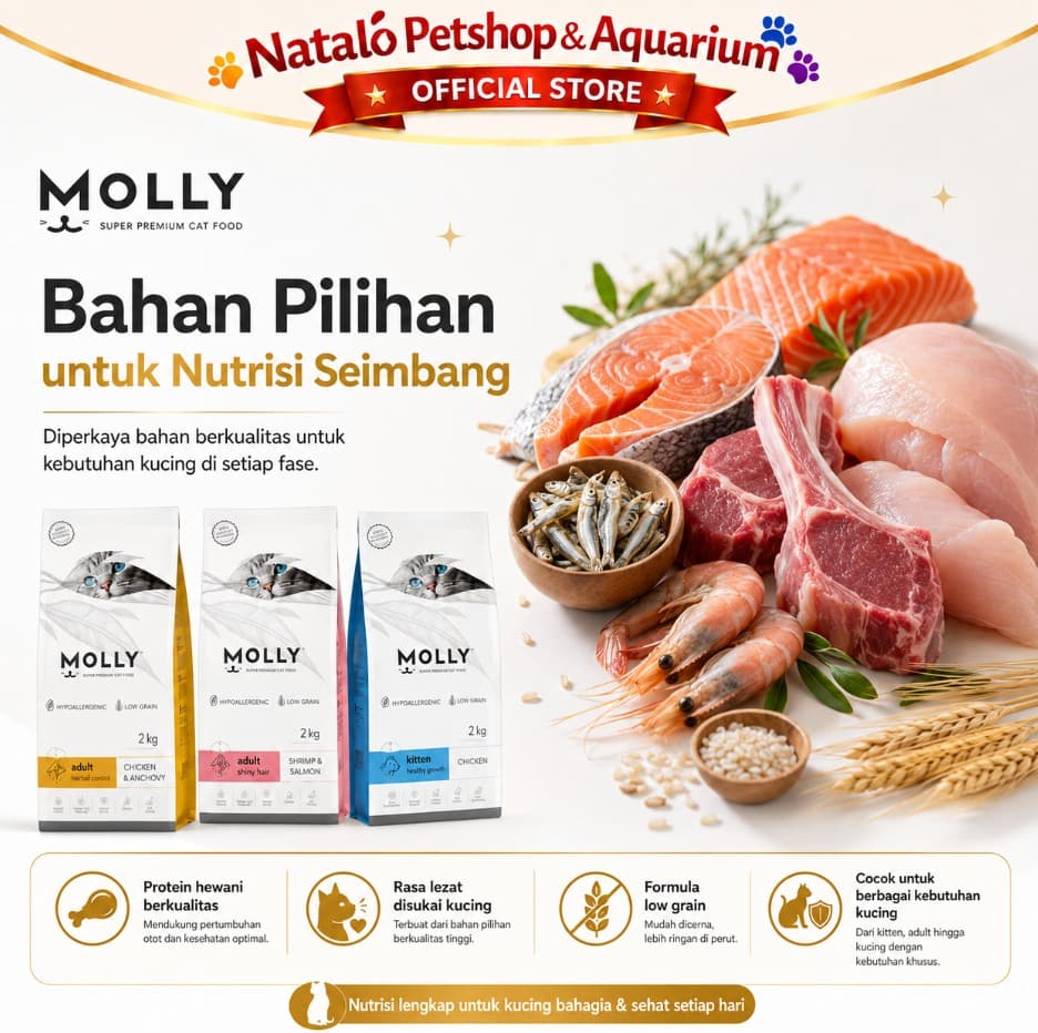 Molly Cat Food 2KG Super Premium Dry Food - Makanan Kucing Kering 2 KG Adult Kitten Chicken Salmon Lamb Urinary Mother Baby Hairball Indoor Sensitive Digestion - gambar 4