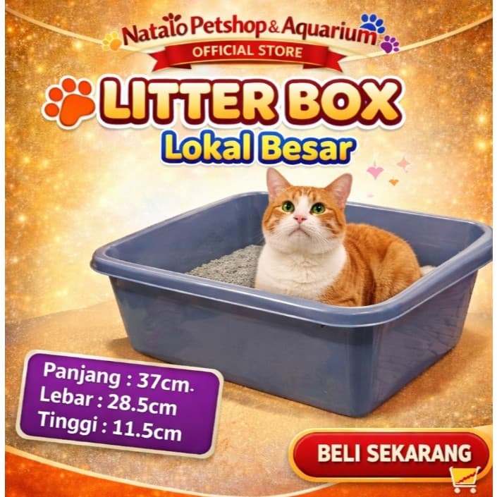 Litter Box Lokal Besar - Bak Pasir Kucing Murah Praktis Hemat Tempat / Wadah 37 x 28.5 x 11.5cm - gambar 1