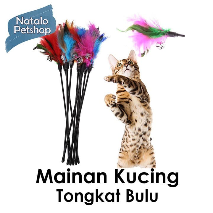 Interactive Cat Toy Mainan Tongkat Bulu dengan Lonceng