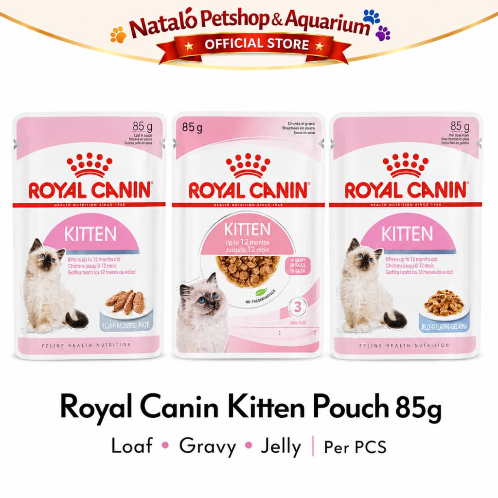 Royal Canin Kitten in Jelly / Gravy  / Loaf 85GR - Makanan Basah Kucing -Pouch/Sachet Wet Cat food - gambar 6