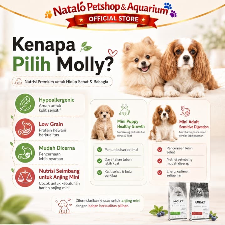 Molly Dog Food 2KG Super Premium Mini Adult / Puppy Lamb Dry Kibble Makanan Anjing Kering untuk Anak dan Dewasa ras Kecil Small Breed rasa Domba 2 KG - gambar 2