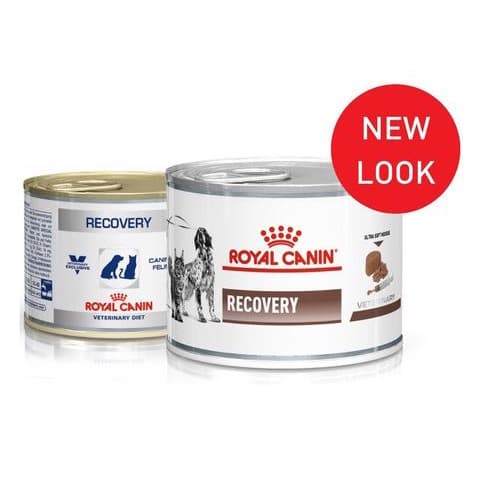 Royal Canin Recovery 196Gr / Makanan menambah energi Kucing Anjing Sakit/Lemas/Mencret/Muntah - gambar 1