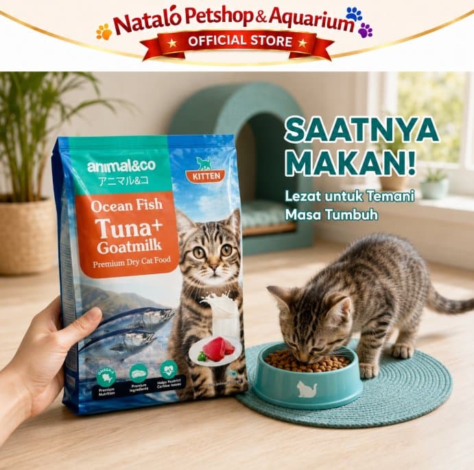 Animal&Co Kitten 800GR Ocean Fish Tuna with Goat Milk Premium Dry Cat Food 800 GR - Makanan Kucing Anakan Animal n Co - gambar 5