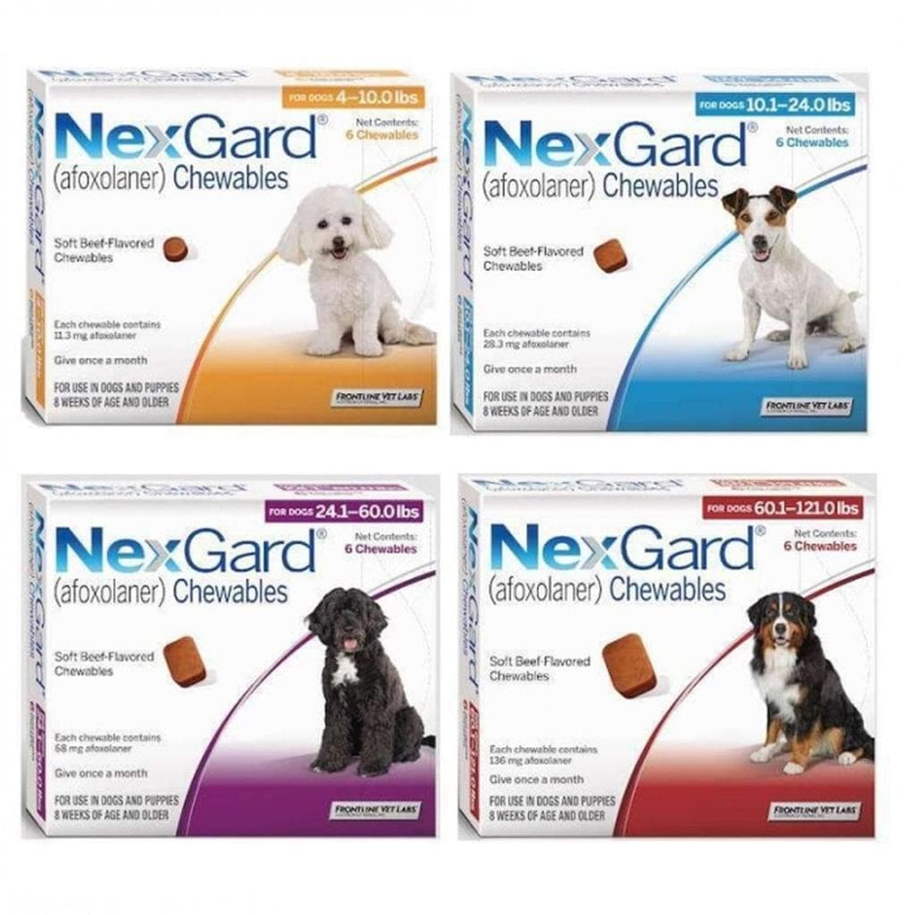 NexGard Obat Kutu dan Demodex Anjing di Telan - S M L XL - Harga PER 1 PCS - gambar 1