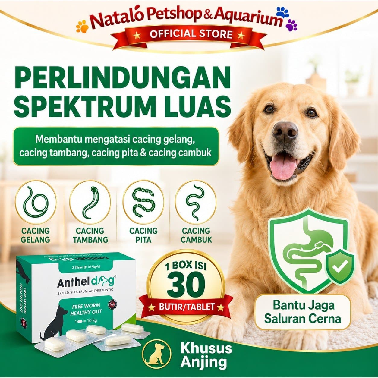 Anthel Dog Kalbe Obat Cacing Anjing 1 Box Isi 30 Kaplet Spektrum Luas untuk Pencegahan dan Pengobatan Cacing Pita, Gelang, Cambuk dan Kait - gambar 3