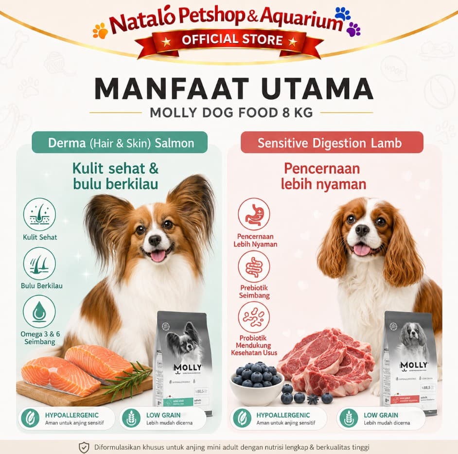Molly Dog Food 8KG Super Premium Mini Adult Derma Care Hair Skin / Sensitive Digestion Hypoallergenic - Salmon / Lamb 8 KG Makanan Anjing Kering untuk Dewasa ras Kecil Small Breed rasa ikan dan domba - gambar 2