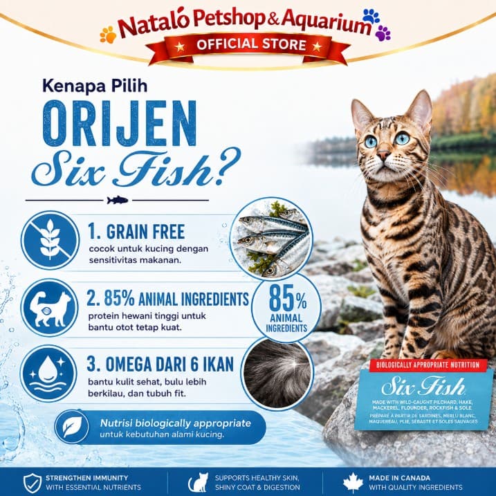 Orijen Cat Six Fish GRAIN FREE Super Premium Cat Food 340gr / 1.8KG Makanan Kucing Kering rasa Ikan Healthy Skin Coat Bulu Lebat Digestive Heart Health Kesehatan Kulit Pencernaan Jantung Salmon - gambar 2