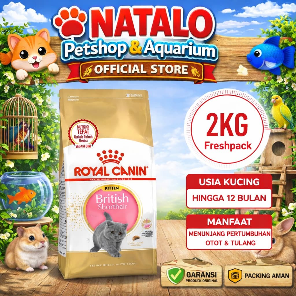 Royal Canin Kitten British Shorthair 2KG Cat Food - Makanan Anak Kucing Ras British Super Premium 2 KG - gambar 1