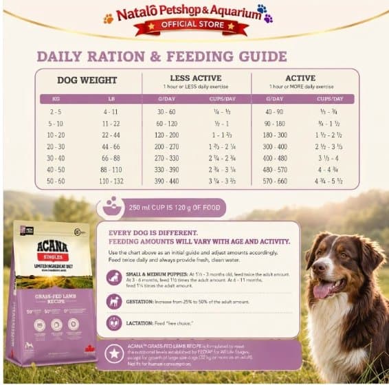 Acana Lamb Grass-Fed 2KG Super Premium Dry Dog Food Grain Free - Makanan Anjing Dewasa Kering Tinggi Nutrisi Single Animal Protein Healthy Digestion & Immune System 2 KG - gambar 2
