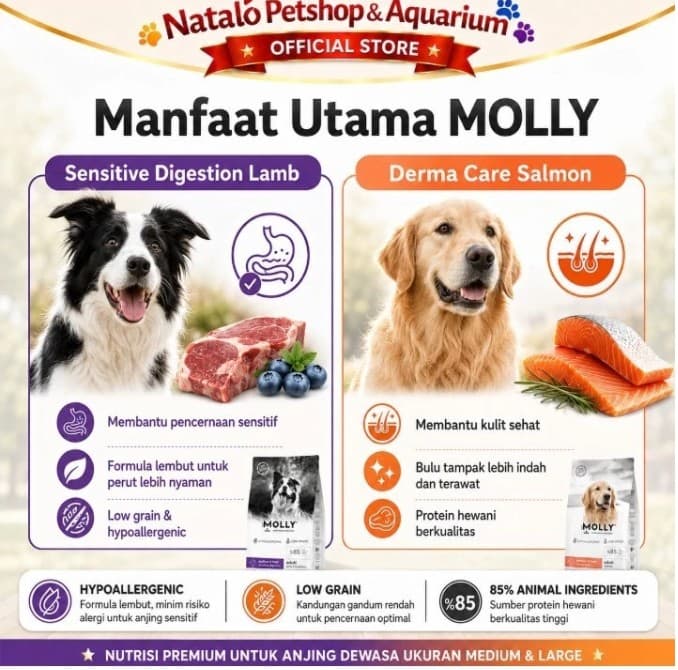 Molly Dog Food 15KG Super Premium Medium Large Adult Derma Care Hair Skin / Sensitive Digestion - gambar 2