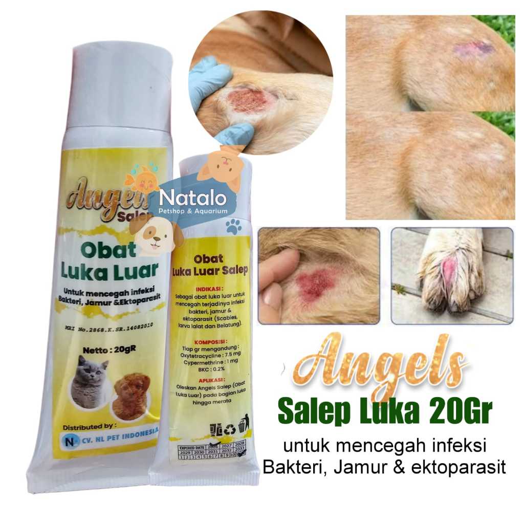 Angels Salep Luka 20GR / Cream Hewan Kucing Anjing Kelinci - Obat Luar untuk mencegah infeksi bakteri , jamur & ektoparasit / Scabies, larva lalat, belatung / Medicine for Pets Cat Dog - gambar 1