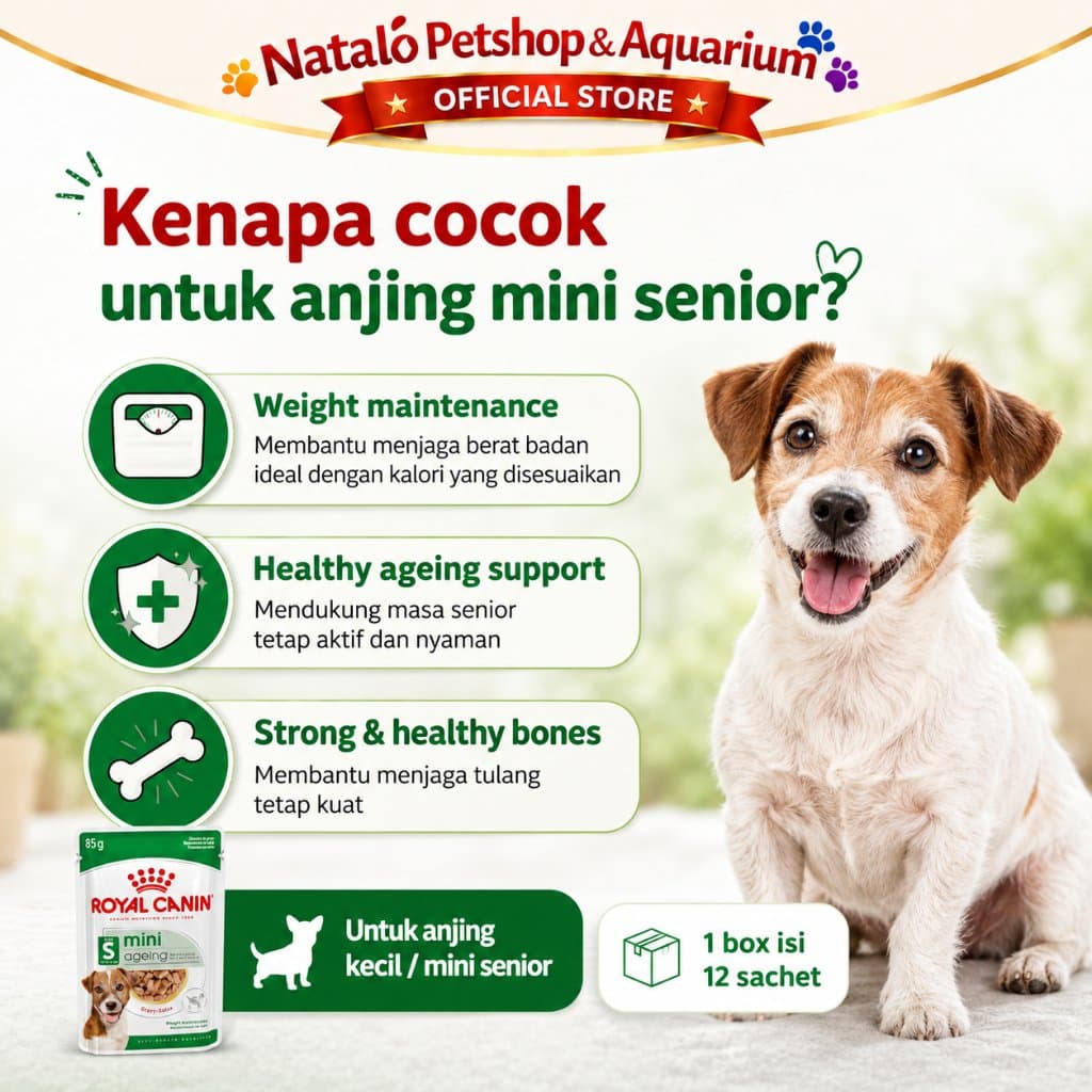 Royal Canin Mini Ageing 8+ Pouch Senior Wet Food 1 BOX isi (12pcs X 85gr) - Makanan Basah Saset untuk Anjing Tua - gambar 2