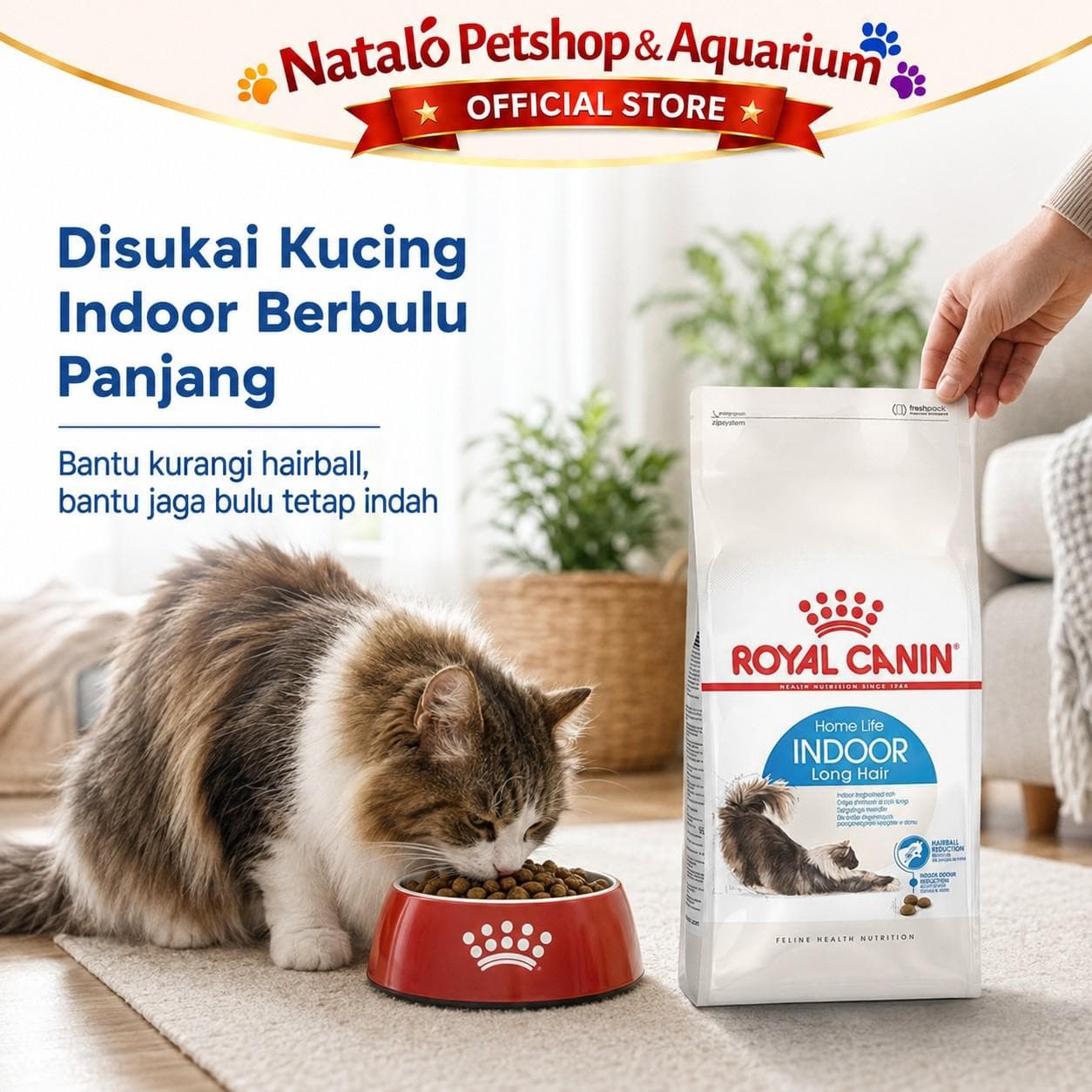 Royal Canin Home Life Indoor Long Hair 400GR Adult Cat Food Longhair - Makanan Kucing Dewasa Bulu Panjang dalam Rumah 400 GR - gambar 5