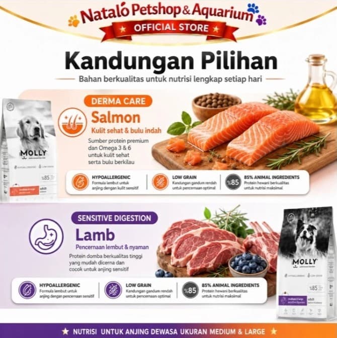 Molly Dog Food 15KG Super Premium Medium Large Adult Derma Care Hair Skin / Sensitive Digestion - gambar 4