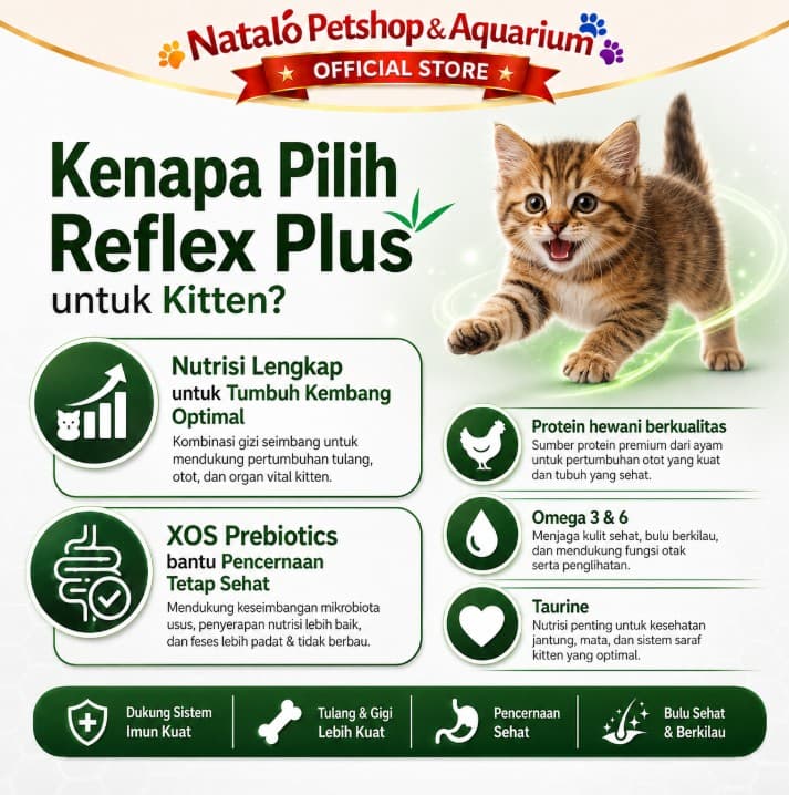 Reflex Plus Kitten 1.5KG with Chicken - Makanan Anak Kucing Super Premium Food rasa Ayam / Sehat / Gemuk / Bulu Lebat - gambar 2