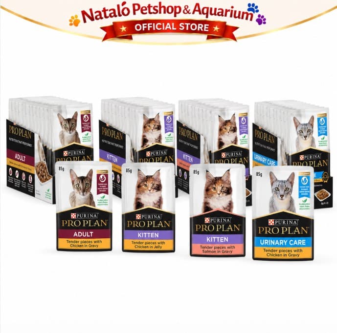 Pro Plan Pouch per BOX isi 12 pcs Saset x 85gr Wet Cat Food Sachet Makanan Basah - gambar 6