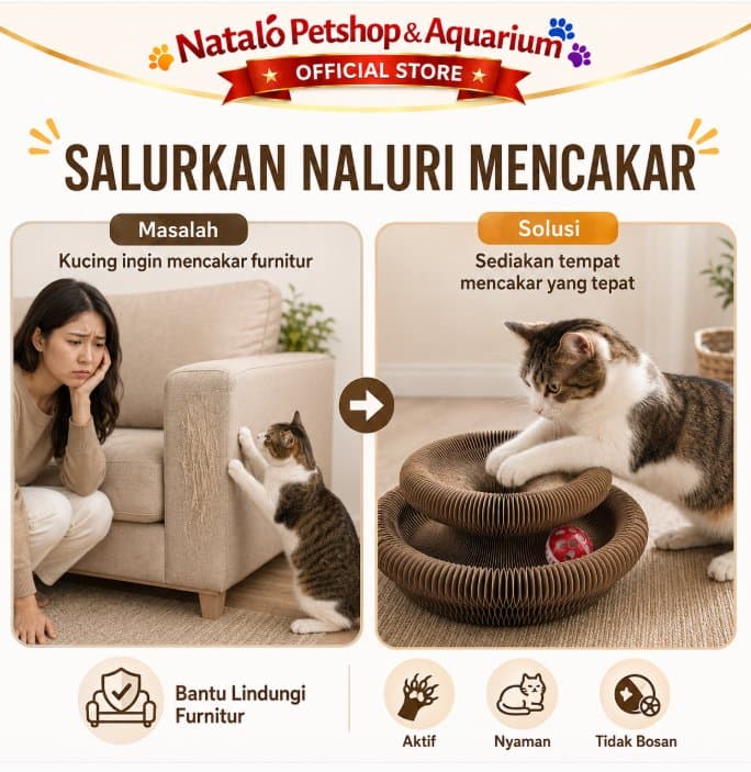 Mainan Cakaran Kucing KQ 439 Brown Cat Scratch Box Papan Garuk Cakar Kitten Adult Anak Kucing Dewasa Main Interactive Toy Free Bola Lonceng - gambar 5