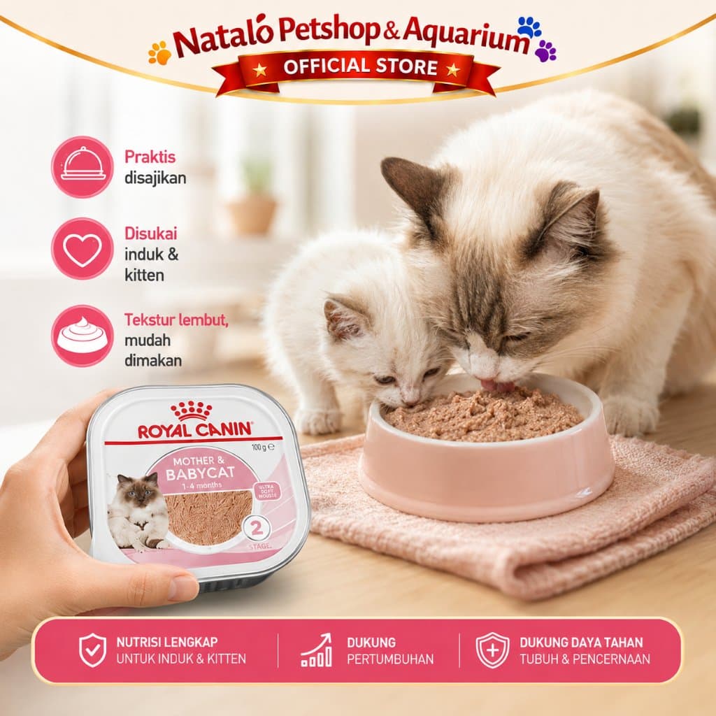 Royal Canin Mother & Babycat Mousse Wet Food 1 BOX isi (24pcs X 100gr) Baby Cat - Makanan Basah Ibu dan Anak Kucing - gambar 5