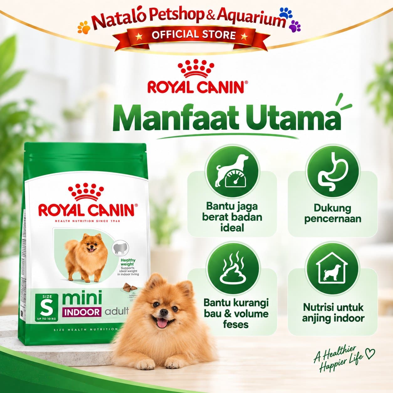 Royal Canin Mini Indoor Adult 3KG Small Breed Dry Dog Food - Makanan Anjing Dewasa Kecil Rumahan Membantu Mengurangi Bau Feses 3 KG - gambar 2