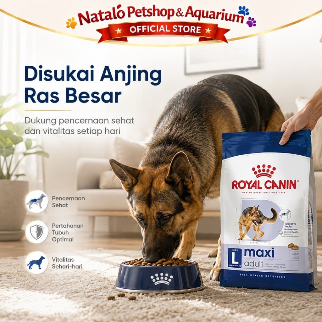 Royal Canin Maxi Adult 10KG Large Breed Dry Dog Food - Makanan Anjing Ras Besar Dewasa 10 KG - gambar 5