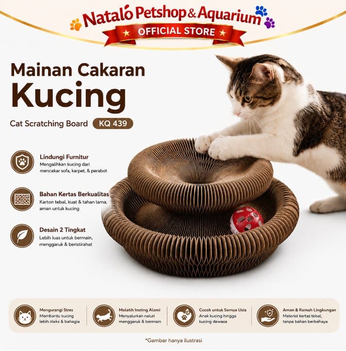 Mainan Cakaran Kucing KQ 439 Brown Cat Scratch Box Papan Garuk Cakar Kitten Adult Anak Kucing Dewasa Main Interactive Toy Free Bola Lonceng