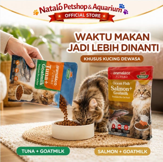 Animal&Co Adult 800GR Tuna / Salmon - Ocean Fish with Goat Milk Premium Dry Cat Food 800 Gr - Makanan Kucing Dewasa Kering Kibble Animal n Co - gambar 5