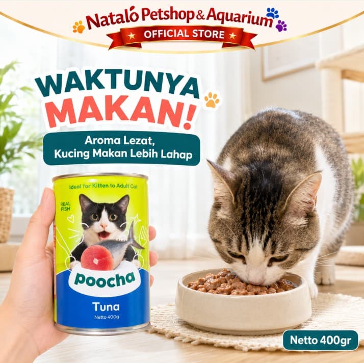 POOCHA Kaleng 400GR per 1 DUS ISI 24 PCS - Makanan Basah Kucing / Canned Wet Cat Food 400 GR All Life Stages Segala Semua Usia Umur - gambar 7