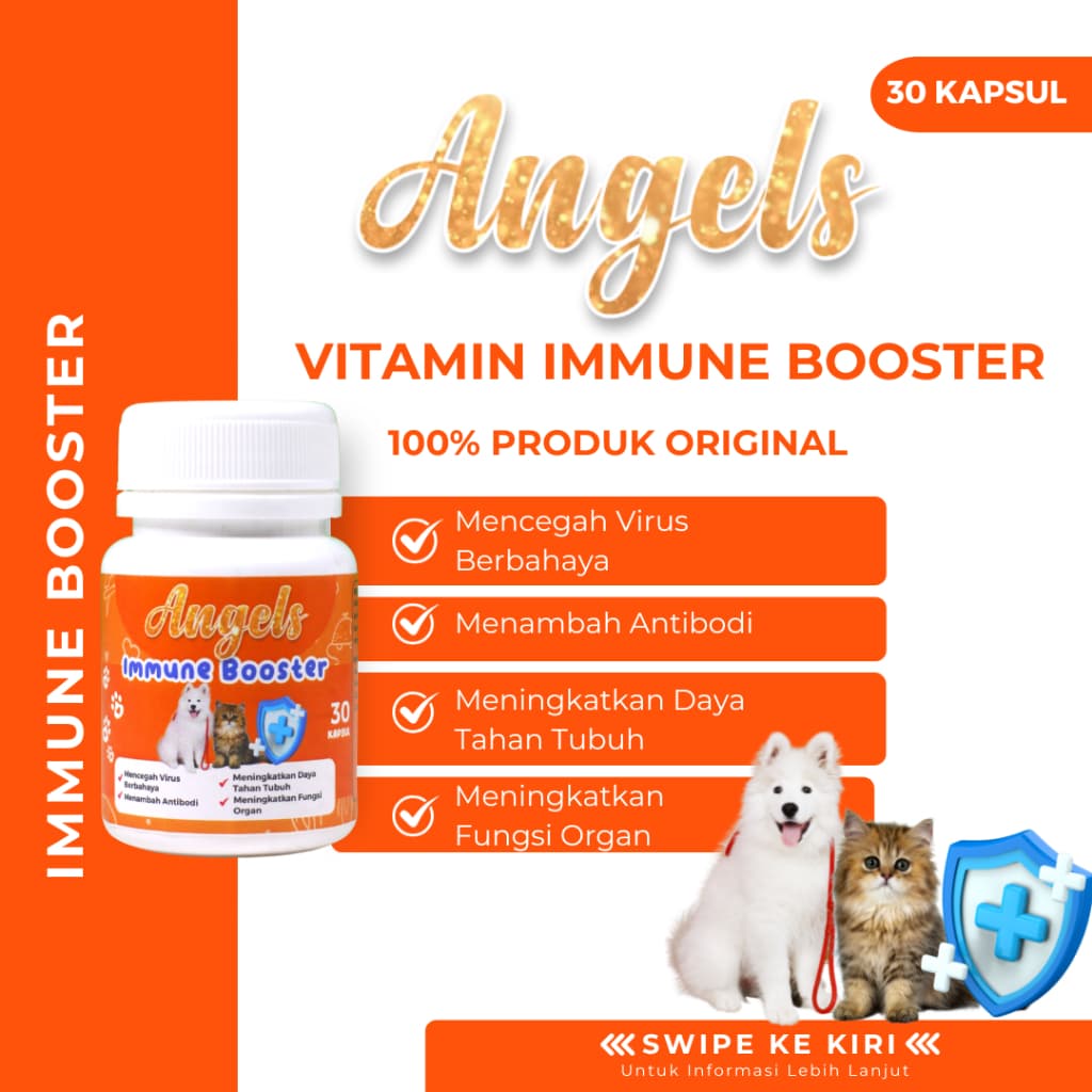 Angels Immune Booster isi 30 Capsul Hewan Kucing Anjing Vitamin Suplemen Menambah Energi Sembuh dari Sakit - gambar 1