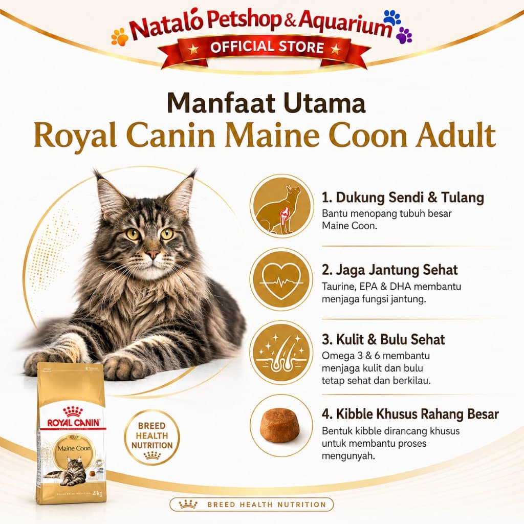 Royal Canin Maine Coon Adult 4KG - Makanan Kucing Dewasa Ras Mainecoon Freshpack 4 KG - gambar 2
