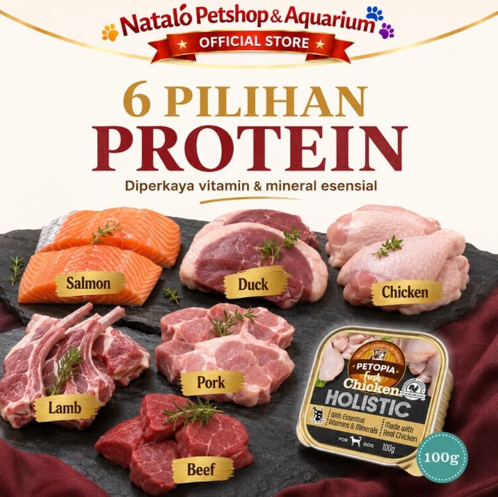 Petopia Holistic Tray 100Gr per DUS isi 24 PCS - Makanan Basah Anjing - Wet Dog Food Premium - gambar 5
