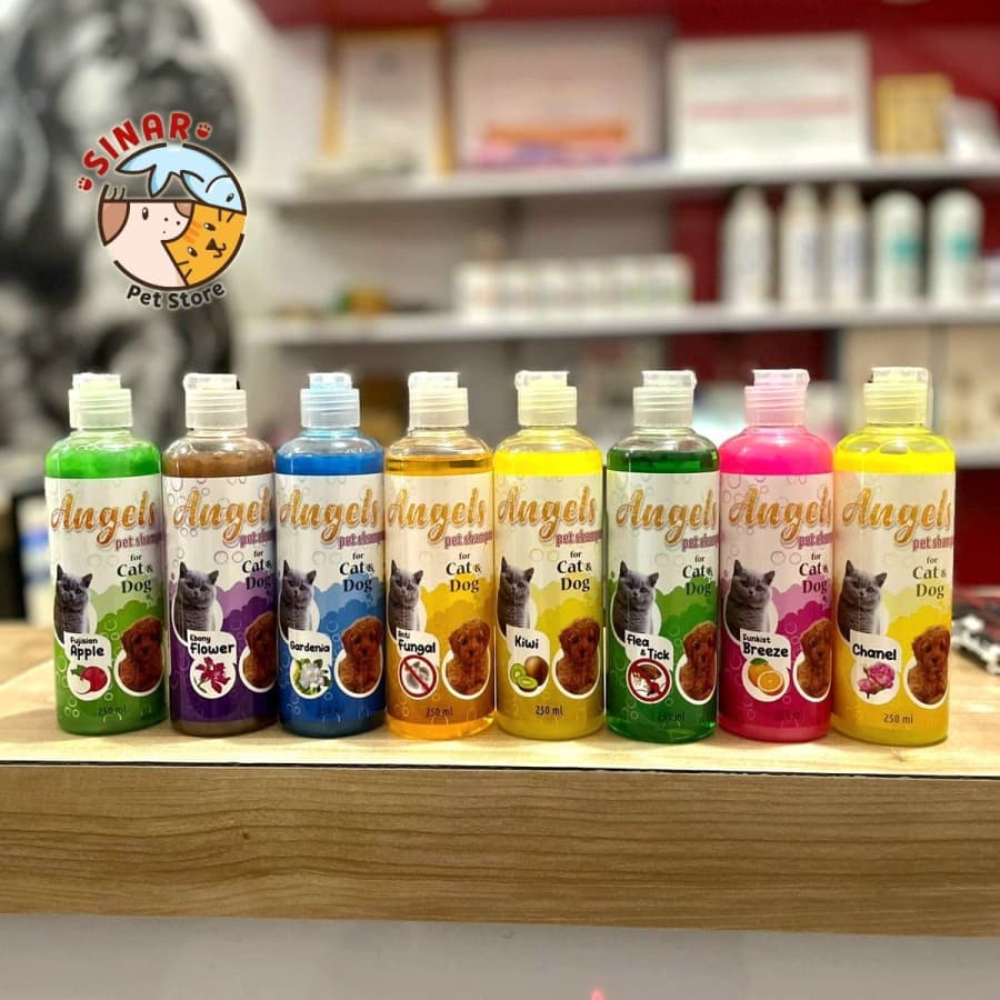ANGELS Pet Shampoo 100ML Hewan Kucing Anjing Wangi Bersih Kutu Jamur - Grooming Hewan - gambar 1