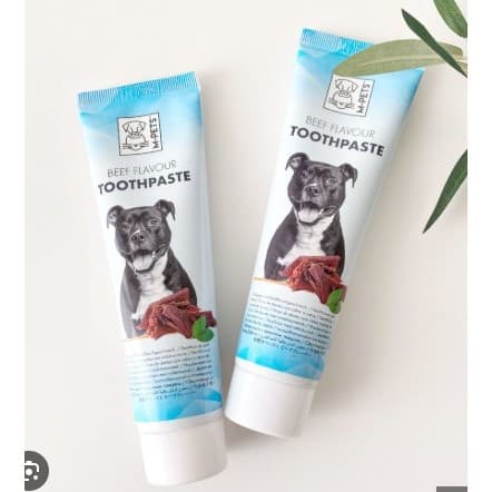 M-PETS Toothpaste Beef Flavor for Dog 100GR - Odol Sikat Gigi Anjing rasa Sapi - Mulut Bersih dari Karang Gigi Nafas Harum - gambar 1