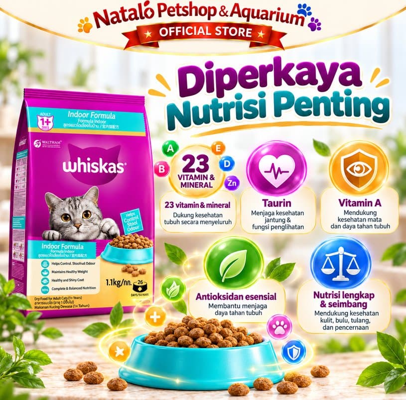 Whiskas Indoor 1.1kg Makanan Kucing Kering Adult 1+ Tahun Dry Cat Food Indoor - gambar 7