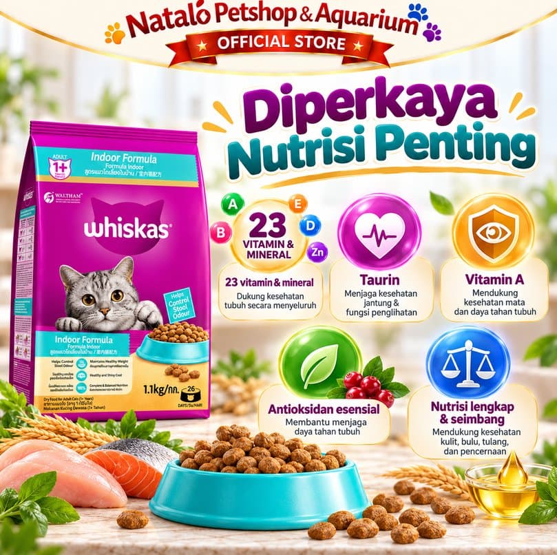 Whiskas Indoor 1.1kg Makanan Kucing Kering Adult 1+ Tahun Dry Cat Food Indoor - gambar 6