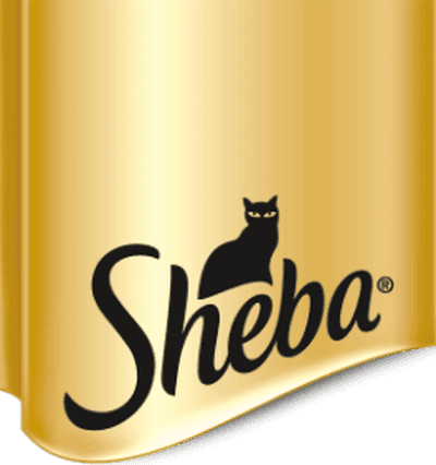 Logo Sheba