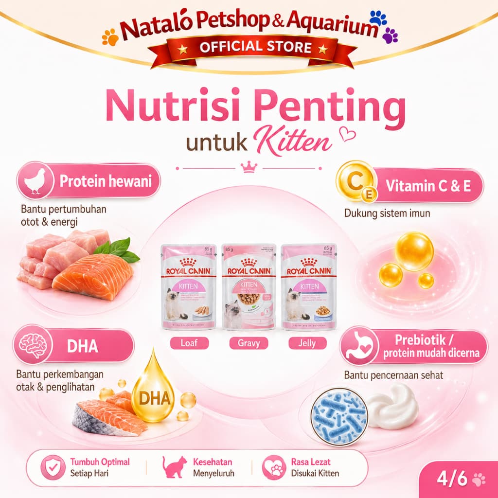 Royal Canin Kitten in Jelly / Gravy  / Loaf 85GR - Makanan Basah Kucing -Pouch/Sachet Wet Cat food - gambar 4