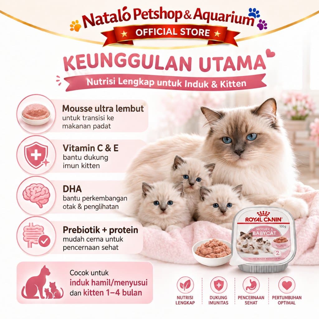 6 PCS x ROYAL CANIN MOTHER BABY CAT TRAY 100GR X6 Mousse - LEBIH HEMAT - Wet Kitten Cat Food - Makanan Basah Ibu dan Anak Kucing dapat 6 biji - gambar 2