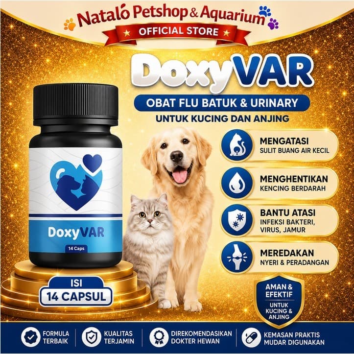 DoxyVAR 14 Capsul - Obat Flu Batuk Bersin dan Gangguan Saluran Kemih - Pipis Berdarah - Vitamin Kesehatan Hewan Peliharaan Kucing Anjing - gambar 1
