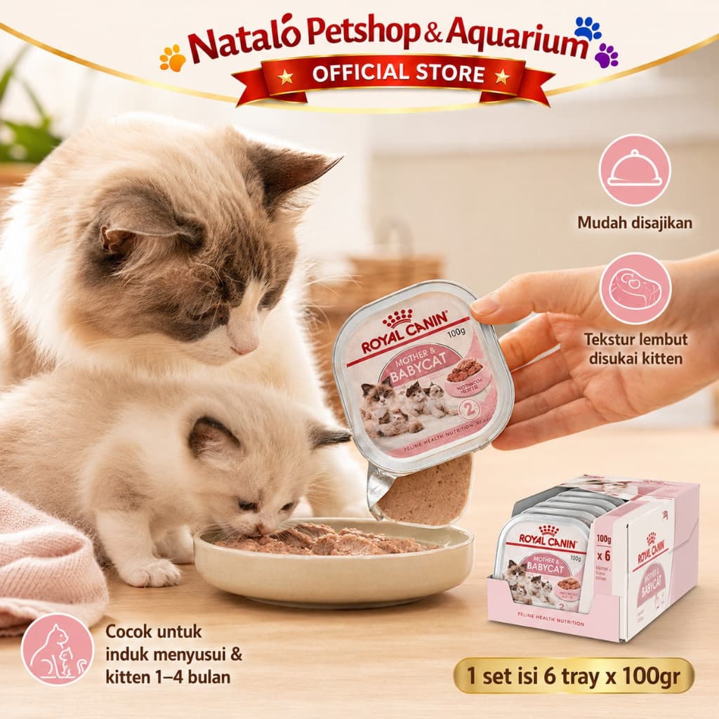 6 PCS x ROYAL CANIN MOTHER BABY CAT TRAY 100GR X6 Mousse - LEBIH HEMAT - Wet Kitten Cat Food - Makanan Basah Ibu dan Anak Kucing dapat 6 biji - gambar 5