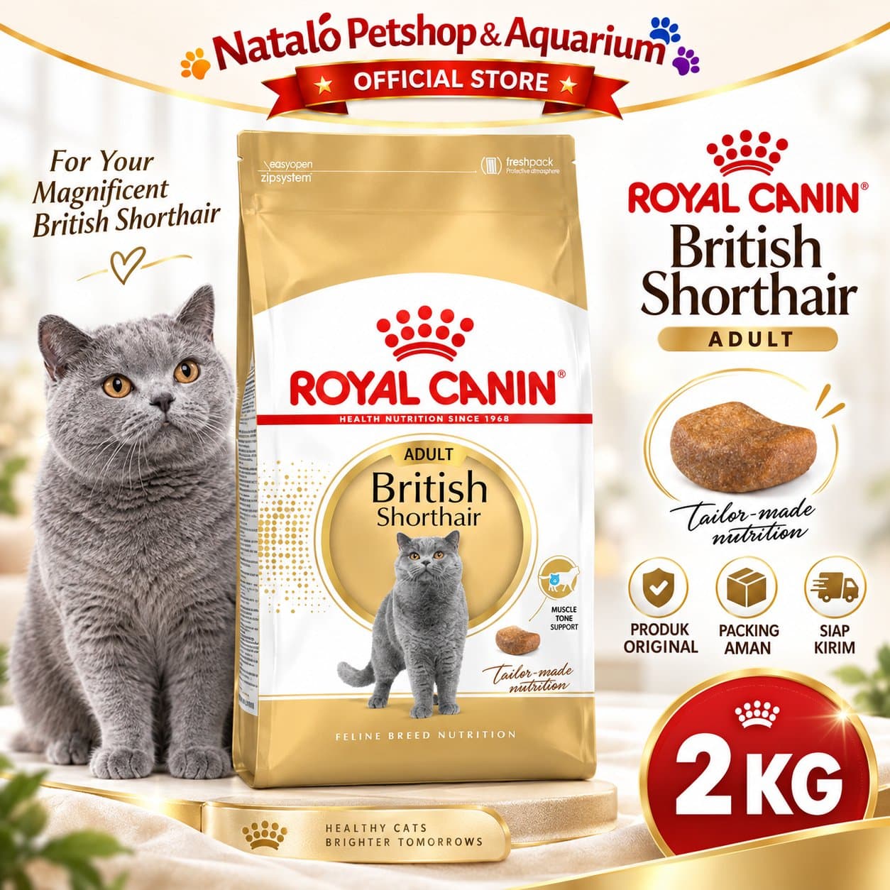 Royal Canin Adult British Shorthair 2KG Dry Cat Food - Makanan Kucing Dewasa Ras Britis 2 KG - gambar 1