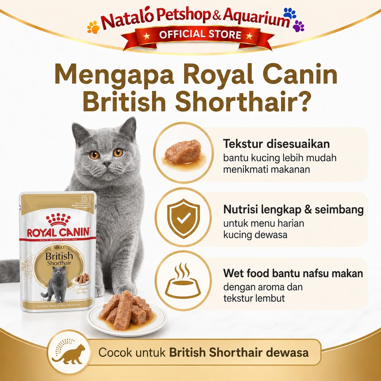 Royal Canin Adult British Shorthair Pouch Wet Food 1 BOX isi (12pcs X 85gr) - Makanan Basah Saset Kucing - gambar 2
