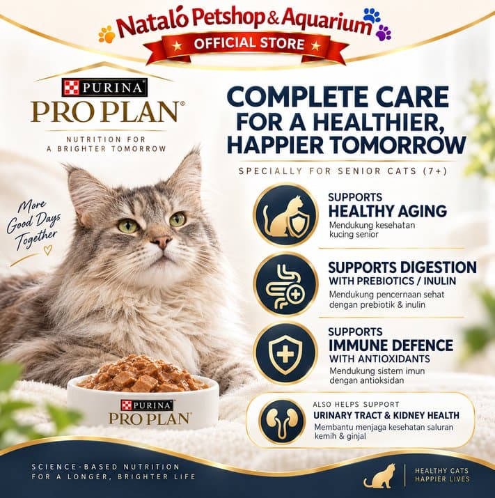 PRO PLAN Adult 7+ Chicken in Gravy Pouch 85GR Wet Cat Food - Makanan Basah Saset Kucing Dewasa Senior rasa Ayam 85 GR - gambar 2