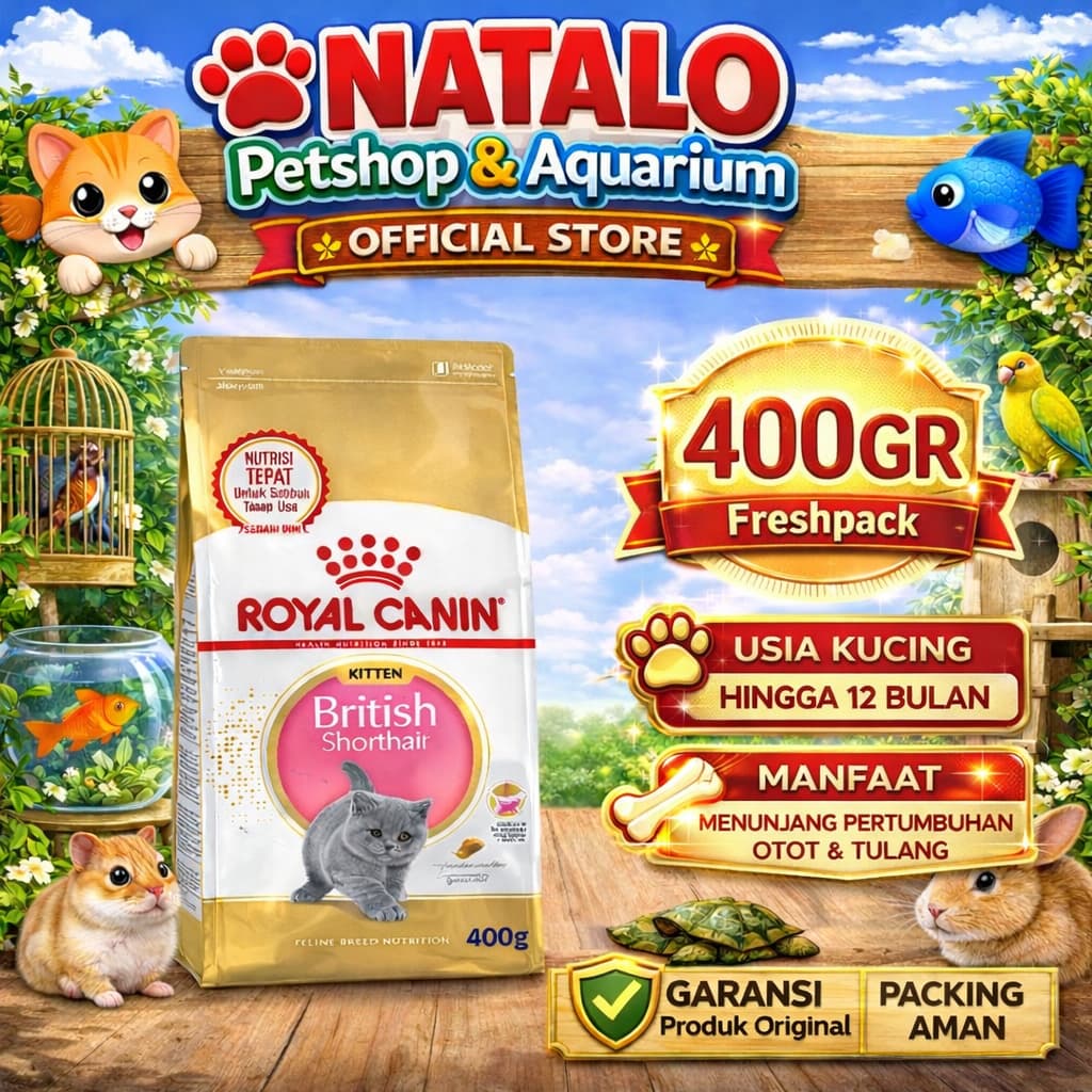 Royal Canin Kitten British Shorthair 400GR Cat Food - Makanan Anak Kucing Ras British Super Premium 400 GR - gambar 1