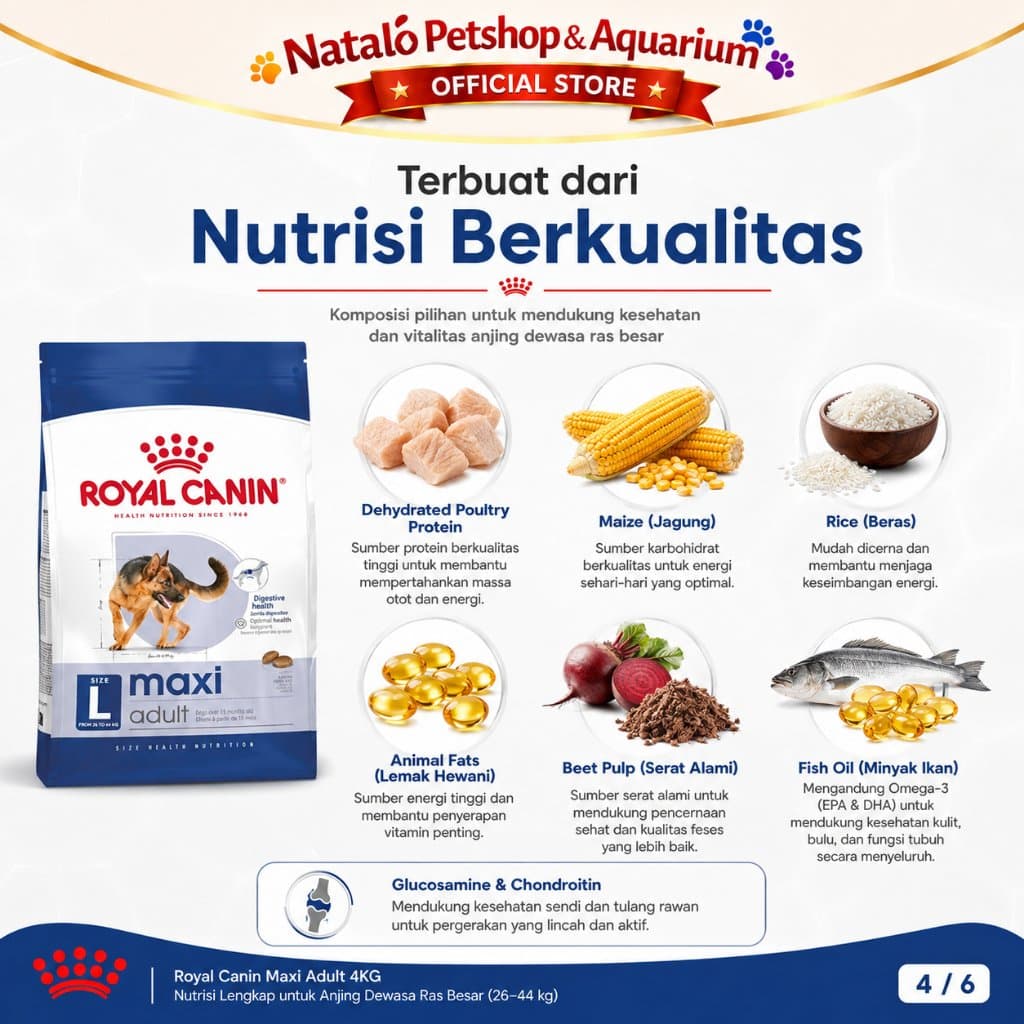 Royal Canin Maxi Adult 10KG Large Breed Dry Dog Food - Makanan Anjing Ras Besar Dewasa 10 KG - gambar 4